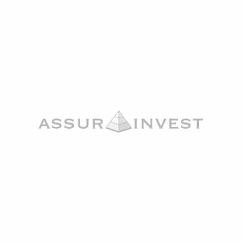Logo ASSUR INVEST