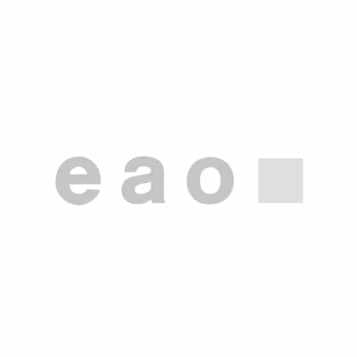 Logo von EAO