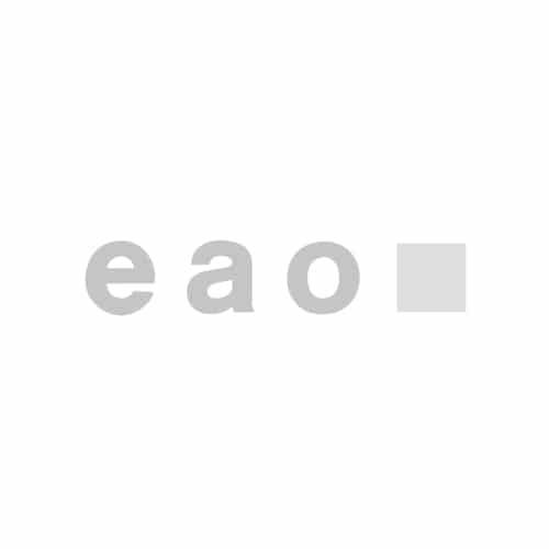 Logo EAO