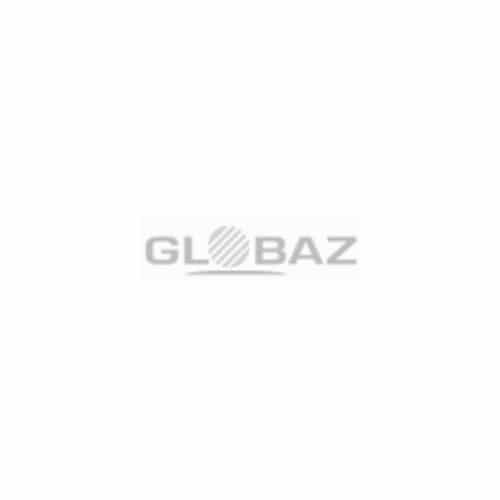 Logo GLOBAZ