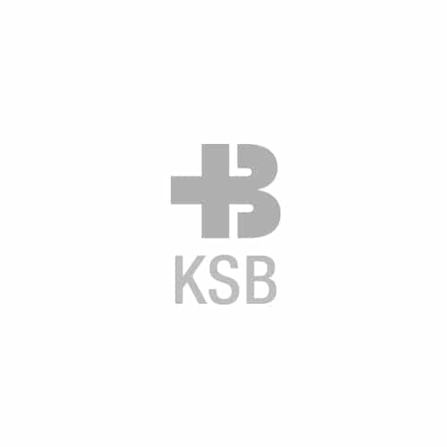 Logo von KSB