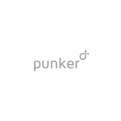 Logo PUNKER