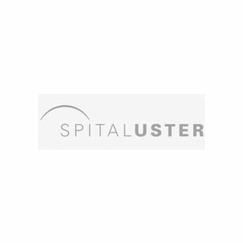 Logo SPITAL USTER