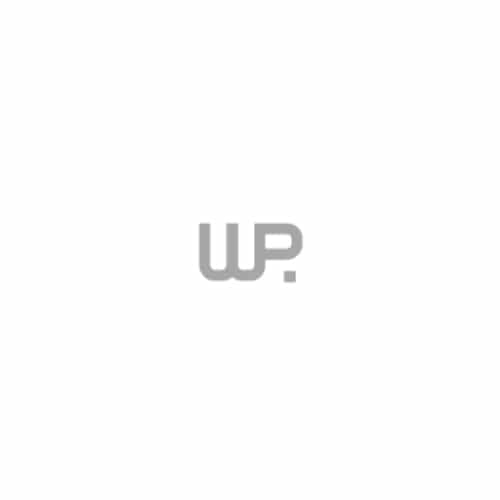 Logo von WP