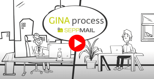 Gina Process