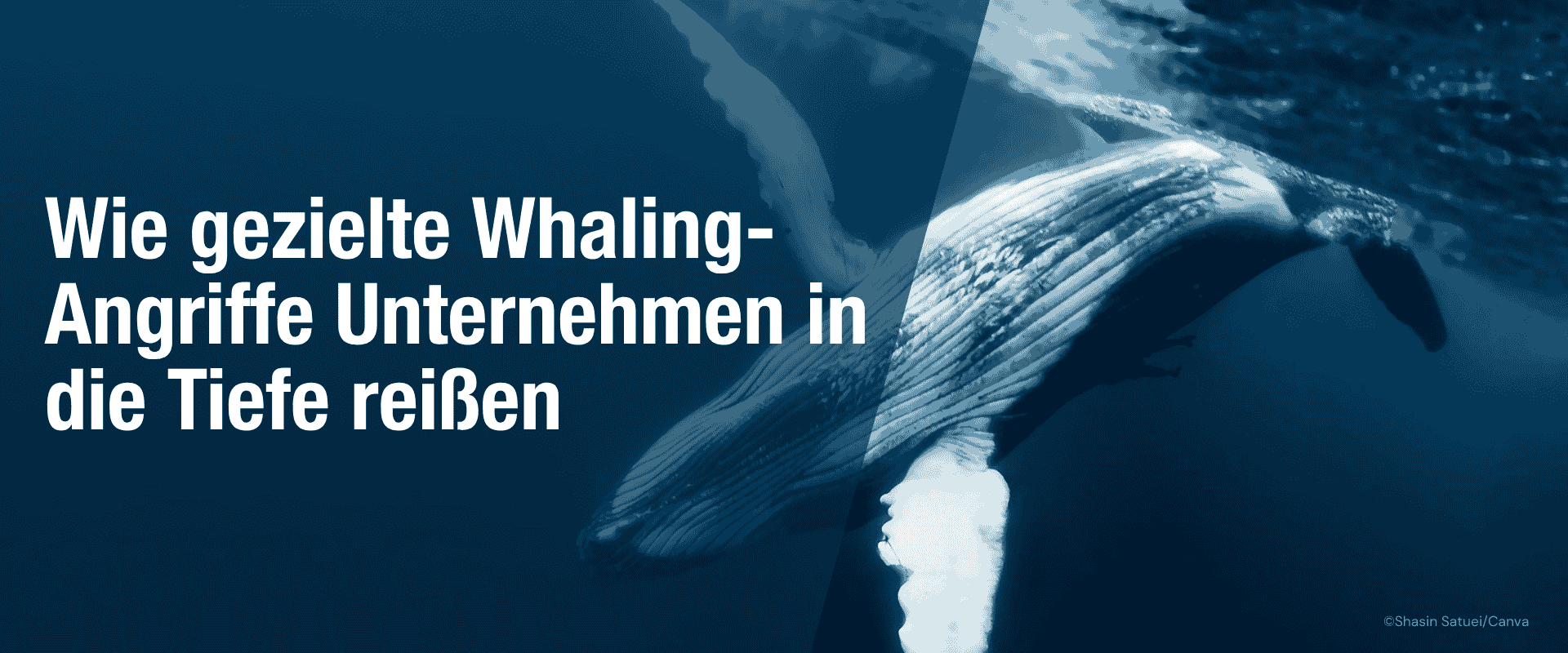 SEPPmail Blogbild Whaling Angriffe